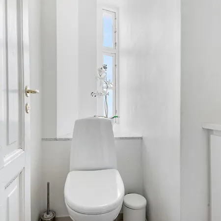 公寓 Sanders Frontier - Pleasant Three-bedroom Near Royal Palace 哥本哈根